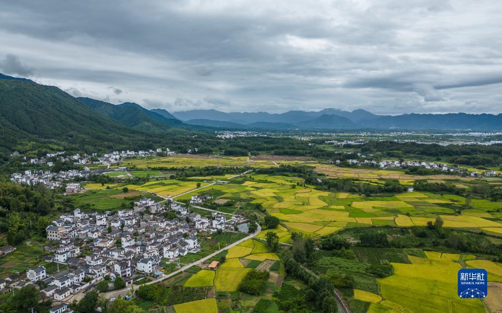 白菜体验金最新论坛